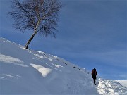 28 Dopo il traverso in piano il sentiero-variante sale per ricongiungersi al sentiero 571 normale 